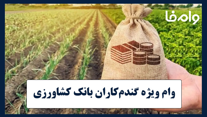 وام 200 میلیونی بانک کشاورزی ویژه گندم کاران